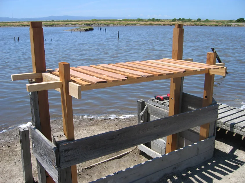 Alastair Upton Portfolio Image