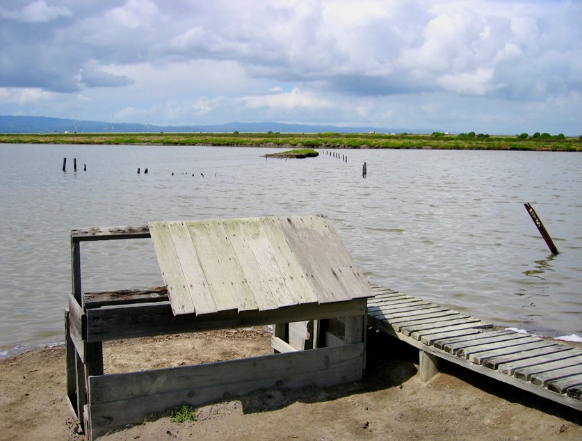 Alastair Upton Portfolio Image