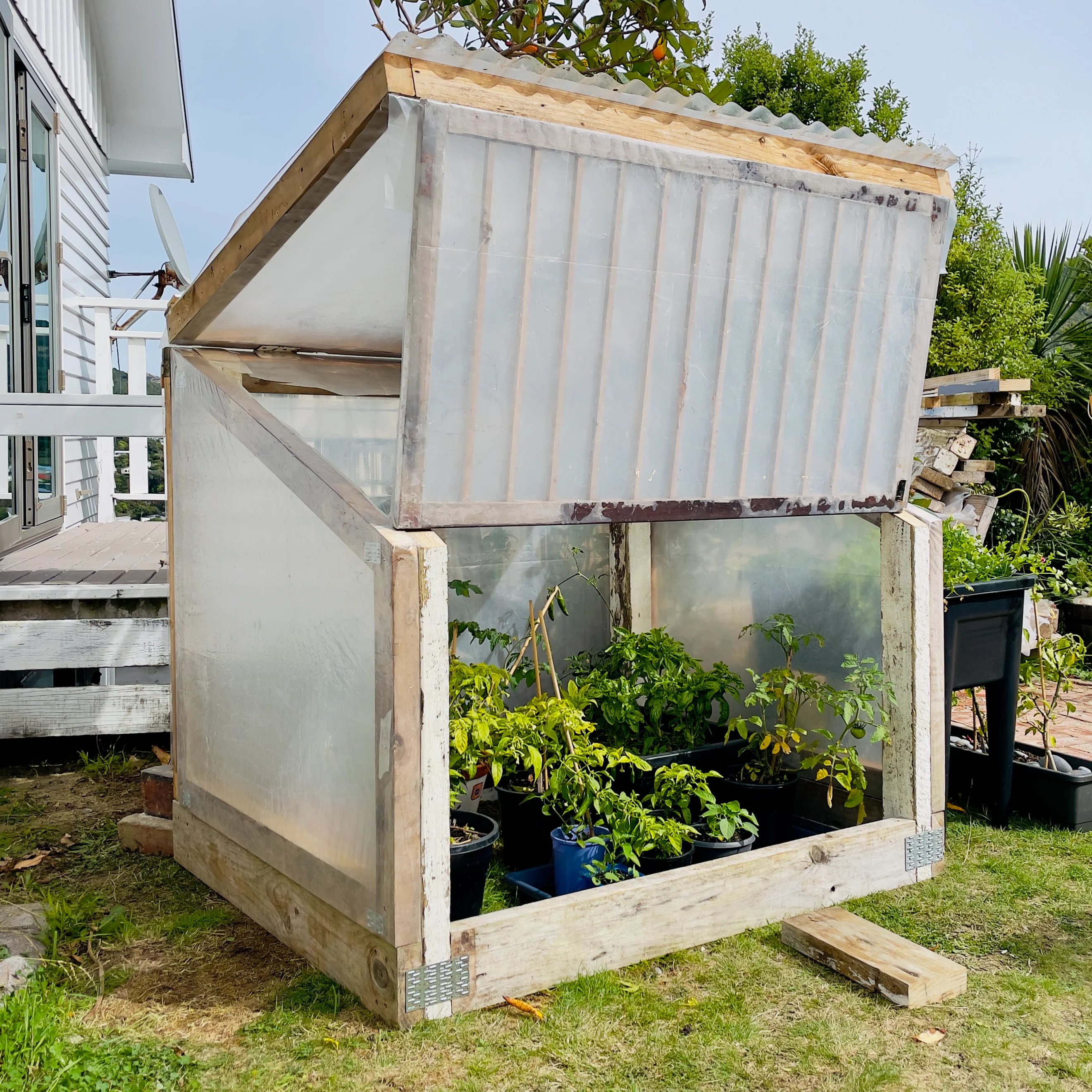 Alastair Upton Portfolio Image