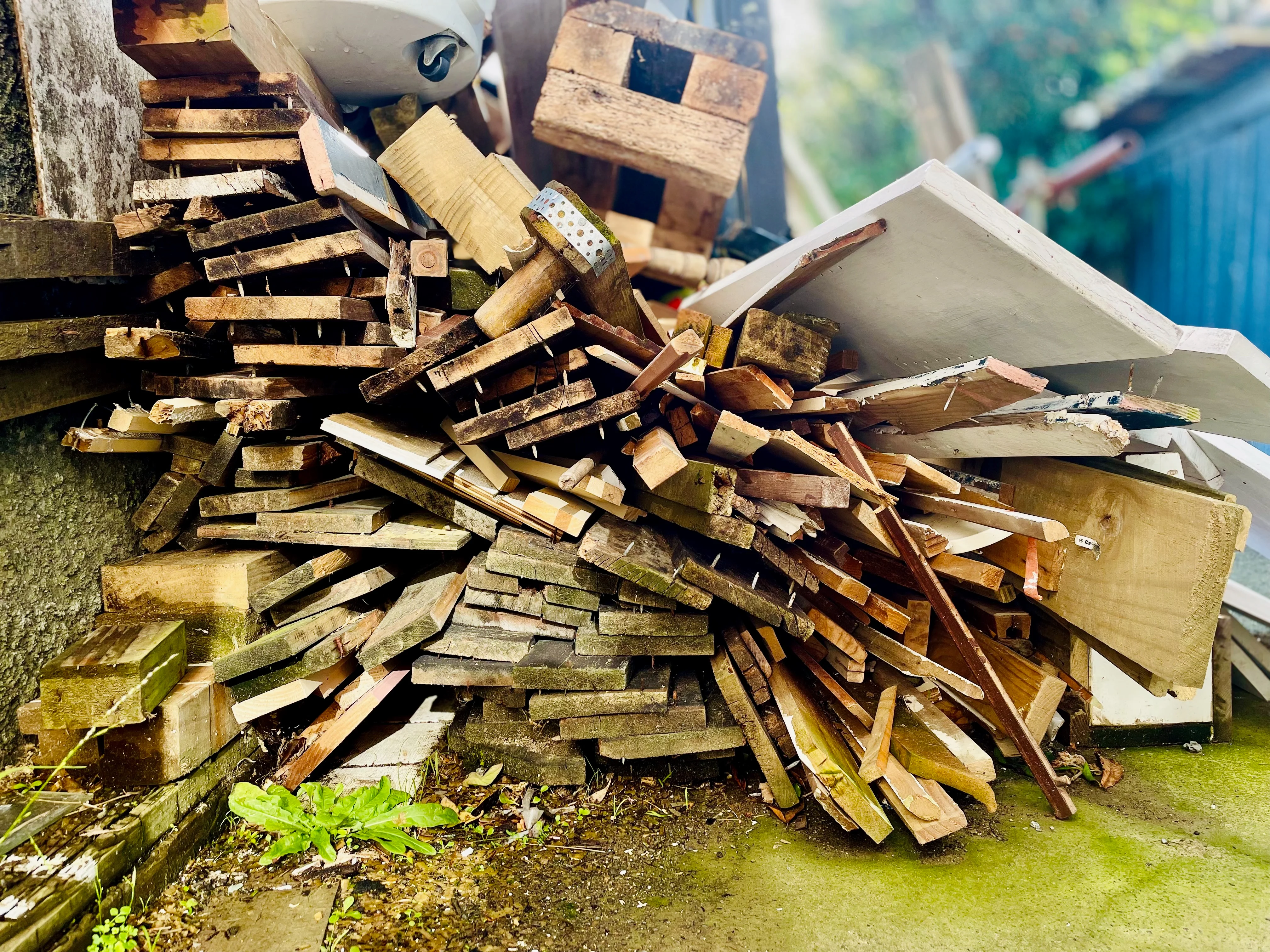 Alastair Upton Portfolio Image