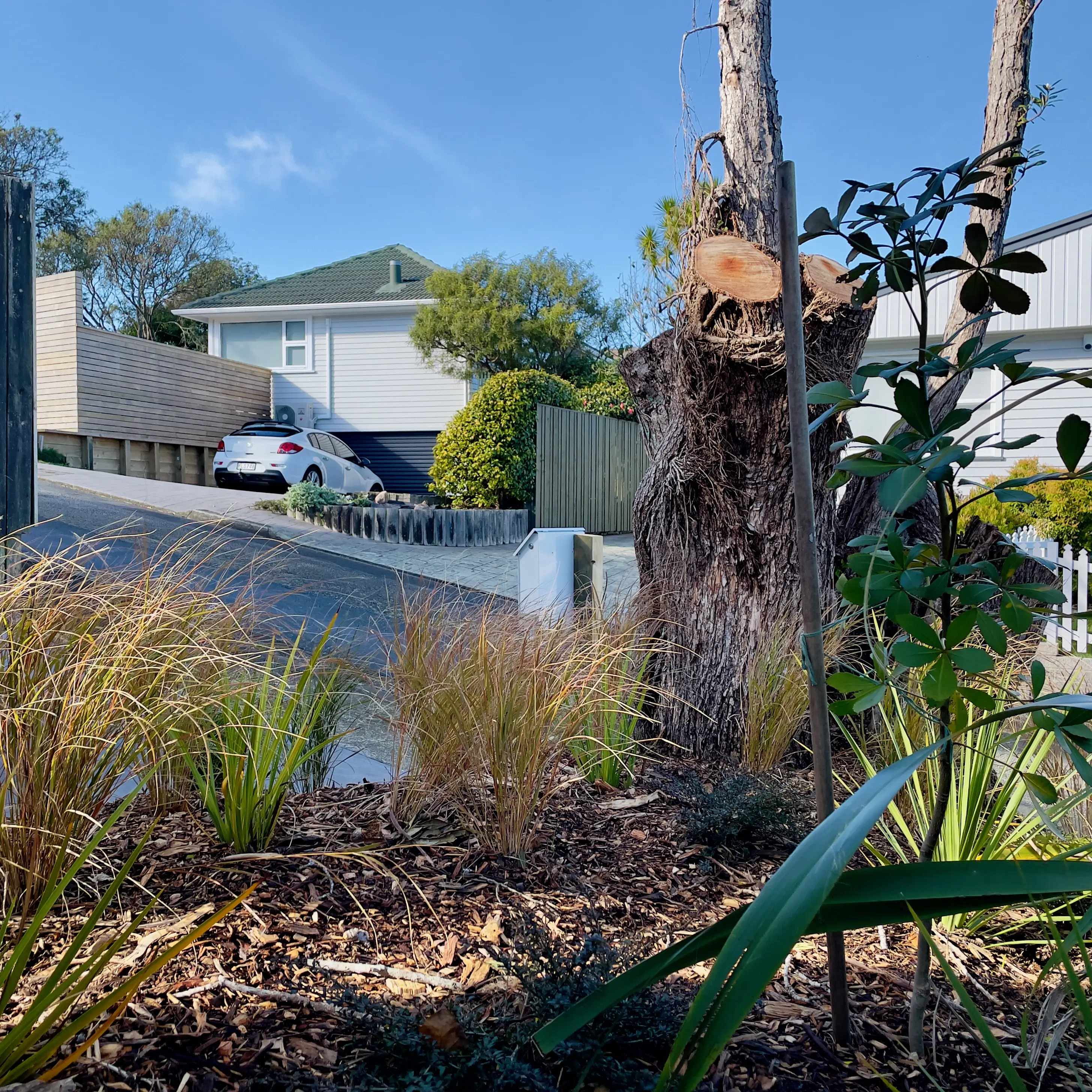 Alastair Upton Portfolio Image