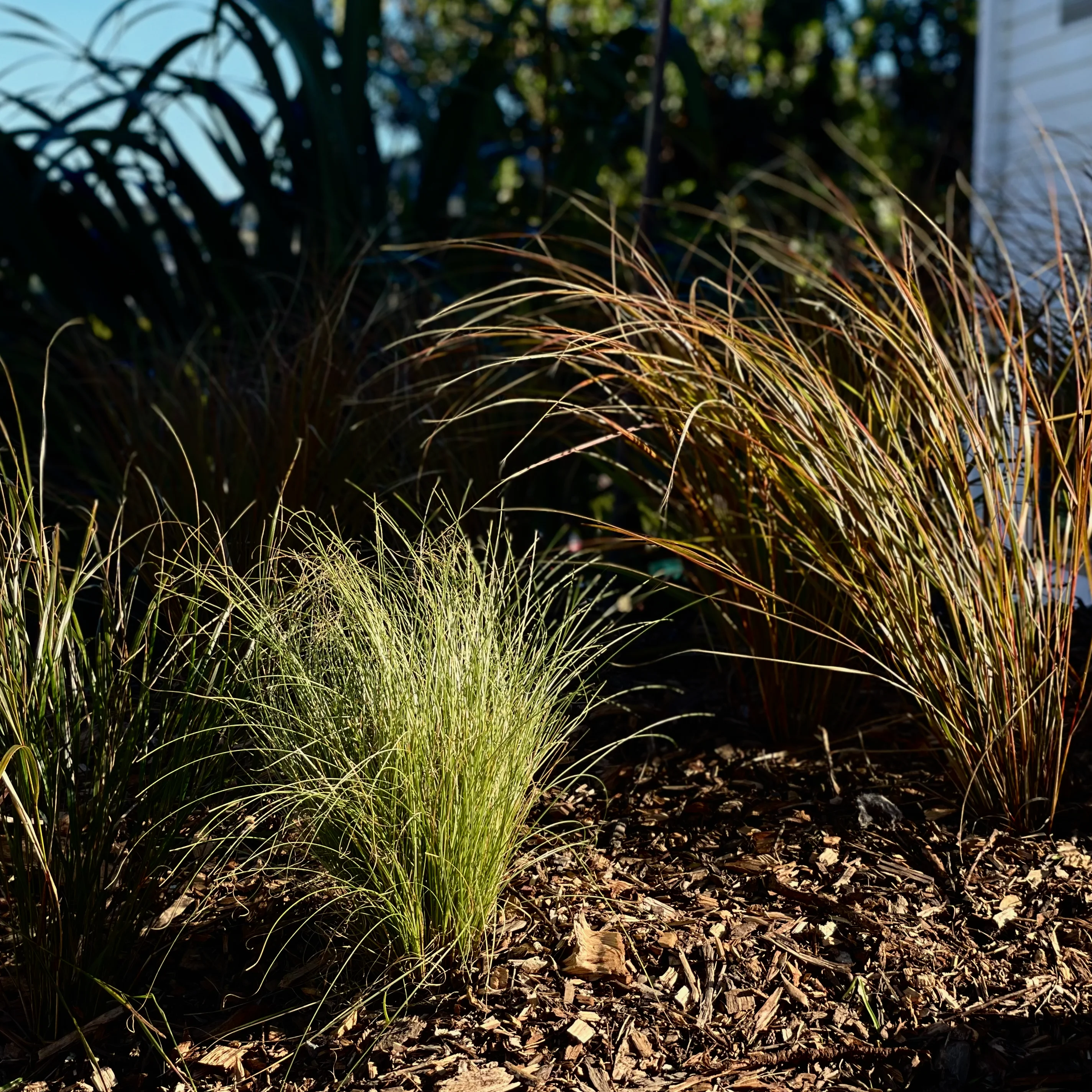 Alastair Upton Portfolio Image