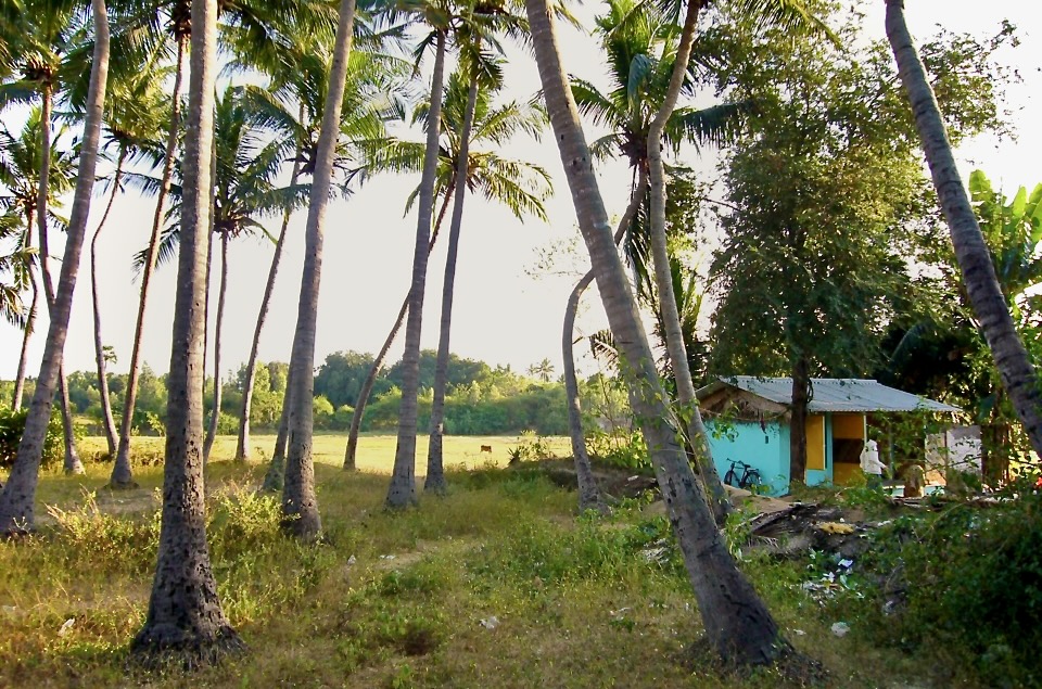 Alastair Upton Portfolio Image